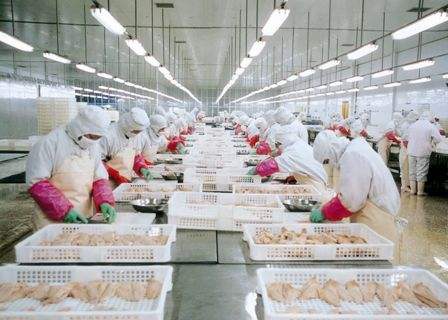 食品廠凈化.jpg